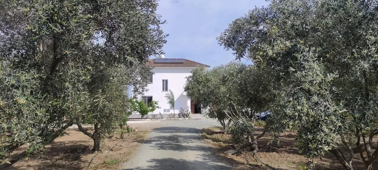 Kiti Village Villa, Cyprus, Salt-Water Pool, 6 Bedrooms, Larnaca 0*,